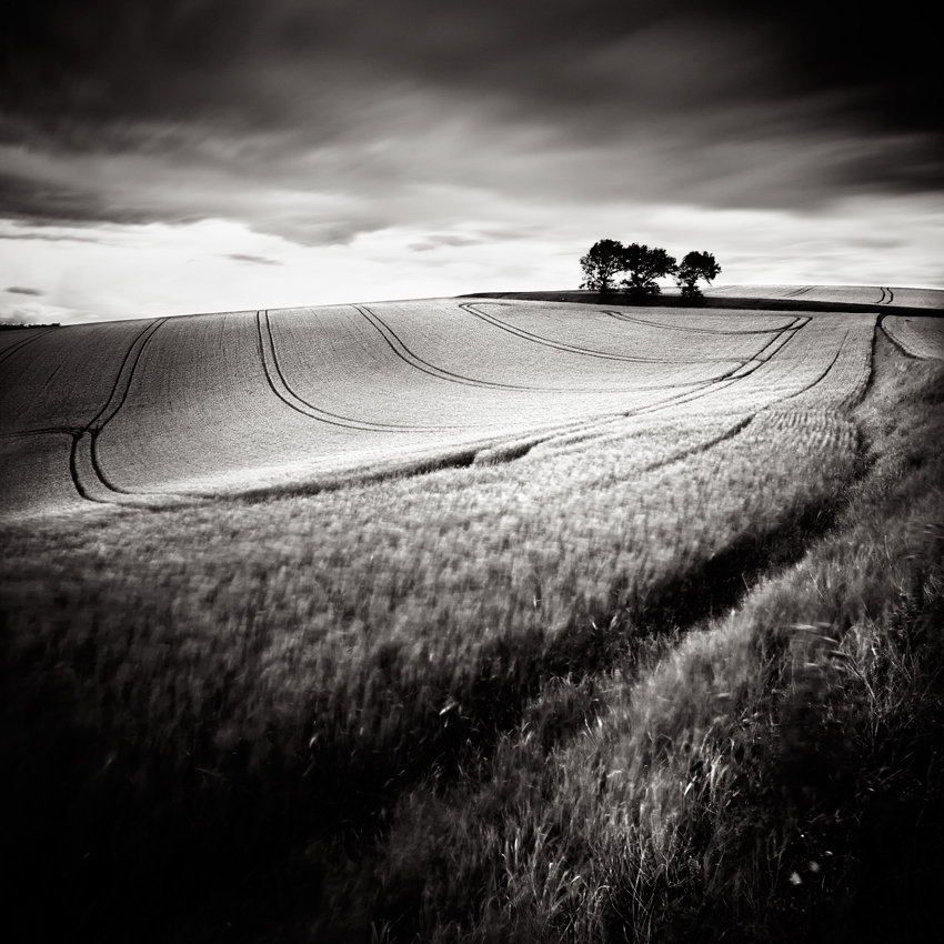 days-of-wind-II