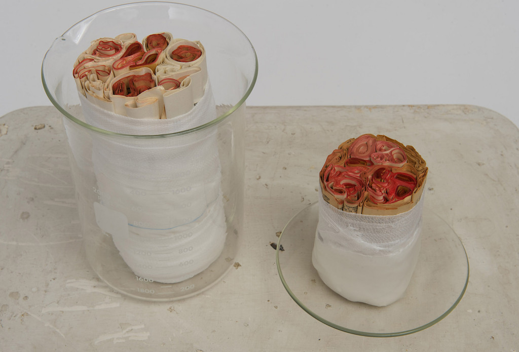Wound Care Series