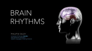 Brain Rhythms