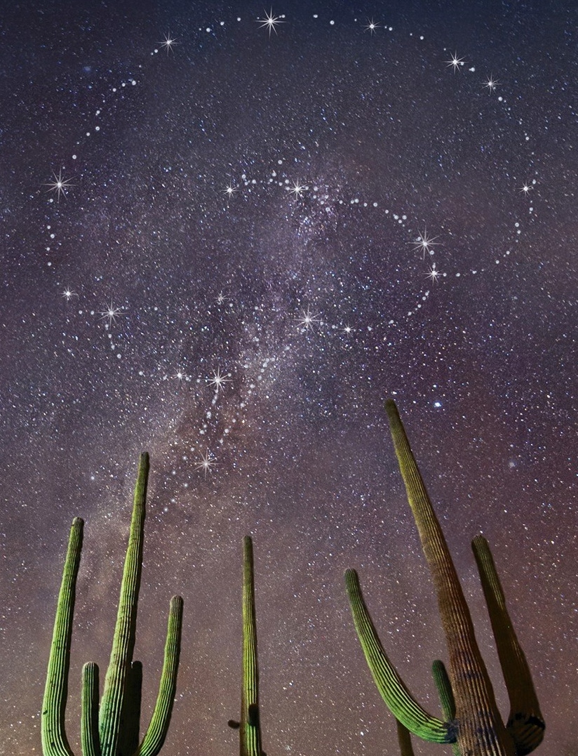 The Science of Consciousness Conference 2016 - Interalia Magazine