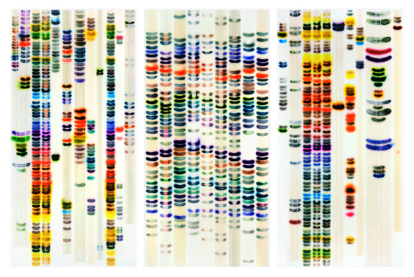 Jaq Chartier: Large Chart (Full Spectrum) acrylic, inks, stains & spray paint on wood 65 x 100 inches