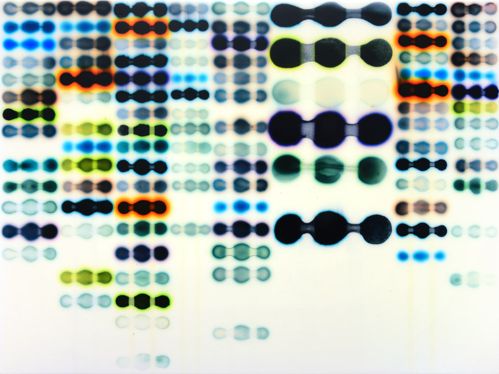 Jaq Chartier: Spring Infusion (S. Black) acrylic/stains/paint on wood panel 18 x 24”