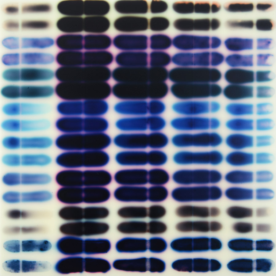 Jaq Chartier: Study w/8 Purple Blue Stains acrylic/stains/paint on wood panel 10 x 10”