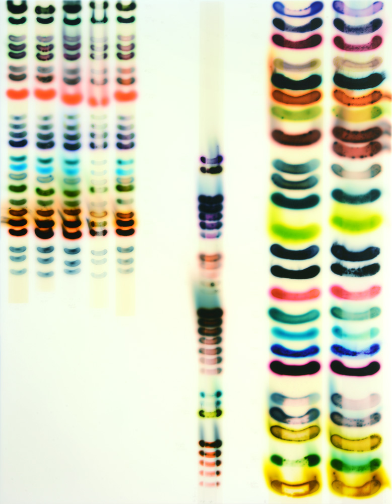 Jaq Chartier: Summer Chart #4 acrylic/stains/paint on wood panel 36 x 28”