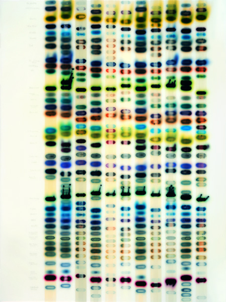 Jaq Chartier, Tests w/11 Whites acrylic/stains/paint on wood panel 40 x 30”