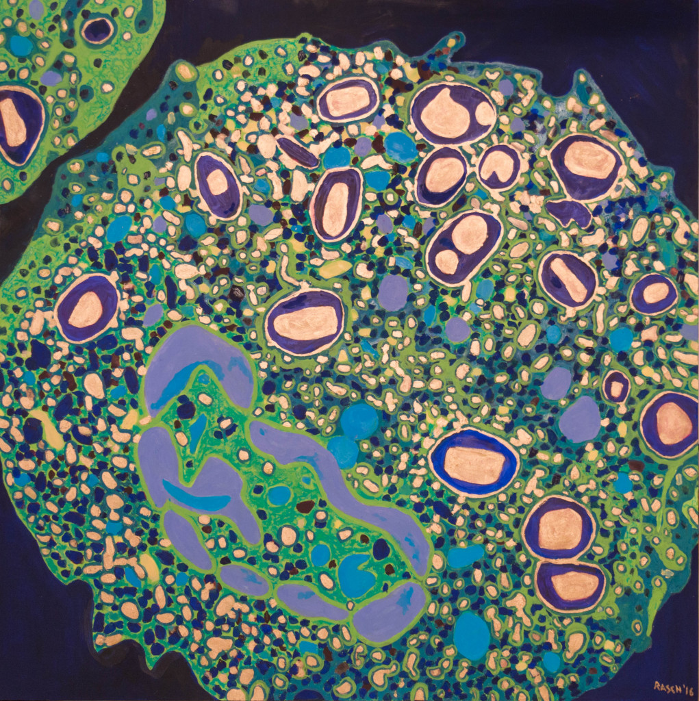 White Blood Cell, oil on board, 30” x 30”